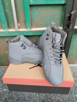 Air Jordan 12-285